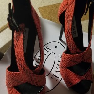 Woman Steve Madden brand new shoes